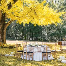 Crowning Glory Table Featured in Southern Lady Southern Tables 2022