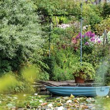 Garden by the water Featured in Victoria Flowers and Gardens 2022