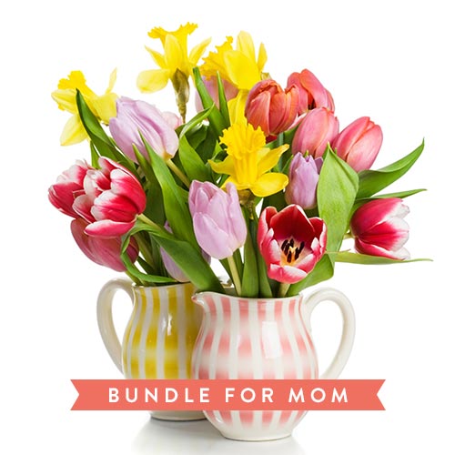 Mother's Day Bundle Flowers